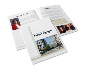 Offset Printing of Reports Services in New Delhi  Delhi India