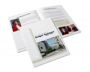 Service Provider of Offset Printing of Reports New Delhi  Delhi 