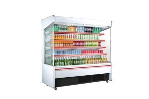 Open Chiller Manufacturer Supplier Wholesale Exporter Importer Buyer Trader Retailer in New Delhi Delhi India