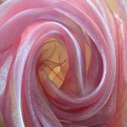 Organza Silk