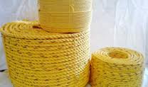 Manufacturers Exporters and Wholesale Suppliers of P.P. Danline Rope Dhoraji Gujarat