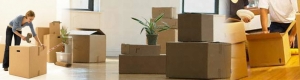 Packing & Moving Services