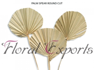 Manufacturers Exporters and Wholesale Suppliers of PALM SPEAR ROUND CUT Kolkata West Bengal