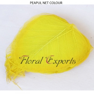Manufacturers Exporters and Wholesale Suppliers of PEAPUL NET COLOUR Kolkata West Bengal