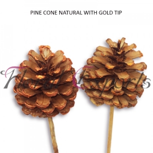 Manufacturers Exporters and Wholesale Suppliers of PINE CONE NATURAL WITH GOLD TIP Kolkata West Bengal