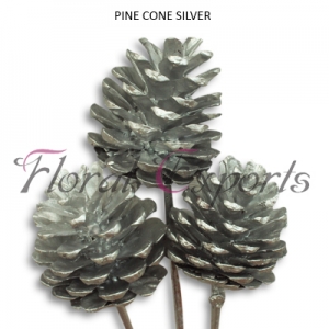 Manufacturers Exporters and Wholesale Suppliers of PINE CONE SILVER Kolkata West Bengal