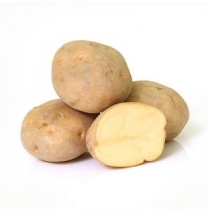 Manufacturers Exporters and Wholesale Suppliers of POTATO Vadodara Gujarat