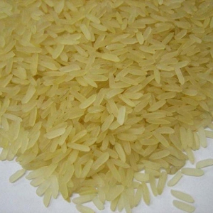 Manufacturers Exporters and Wholesale Suppliers of PR-11 Golden Rice Ghaziabad Uttar Pradesh