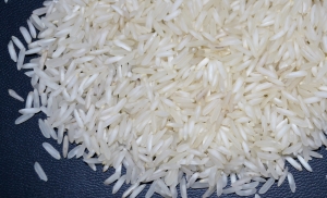 Manufacturers Exporters and Wholesale Suppliers of PR-11 Steam Rice Ghaziabad Uttar Pradesh