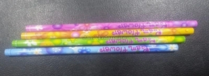 Manufacturers Exporters and Wholesale Suppliers of PRINTED PENCIL Surat Gujarat