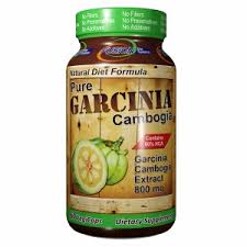 Manufacturers Exporters and Wholesale Suppliers of Pure Garcinia Cambogia Extract Chandigarh Haryana