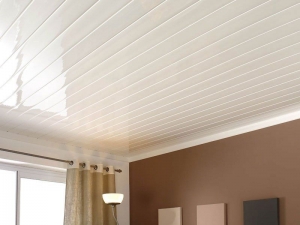 PVC Wooden Finish False Ceiling Manufacturer Supplier Wholesale Exporter Importer Buyer Trader Retailer in Telangana  India