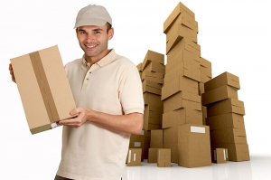 Packer & Movers Service