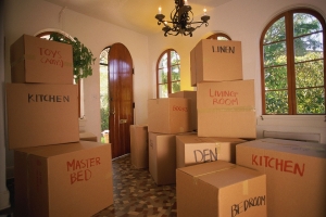 Service Provider of Packers & Movers For Household Item New Delhi Delhi