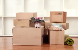 Packers & Movers For Household