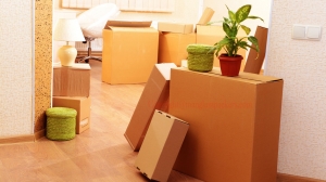 Service Provider of Packers & Movers For Punjab Bhatinda Punjab 