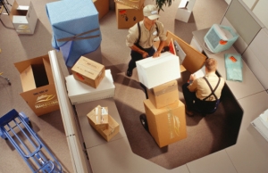 Biz Packers And Movers