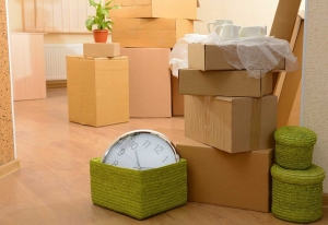 Service Provider of Packers And Movers For Household Goods Bareilly Uttar Pradesh