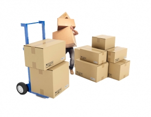 Packers Movers Services in Meerut Uttar Pradesh India