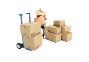 Packers And Movers