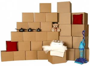 Packing And Moving Service