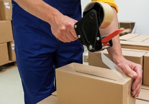 Service Provider of Packing And Unpacking Services New Delhi Delhi