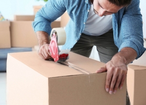 Service Provider of Packing And Moving Services Ponda  