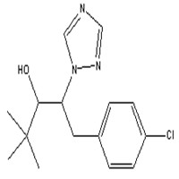 Paclobutrazol Manufacturer Supplier Wholesale Exporter Importer Buyer Trader Retailer in Hagnzhou  China