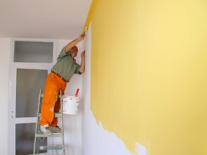 Service Provider of Painting Service Bangalore Karnataka 