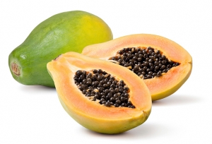 Papaya Manufacturer Supplier Wholesale Exporter Importer Buyer Trader Retailer in New Delhi Delhi India