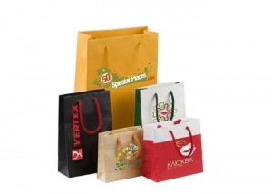 Paper Bag Printing Services Services in Telangana   India