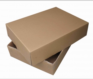 Paper Carton Box Manufacturer Supplier Wholesale Exporter Importer Buyer Trader Retailer in Telangana Andhra Pradesh India