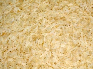 Manufacturers Exporters and Wholesale Suppliers of Parimal Rice Nagpur Maharashtra