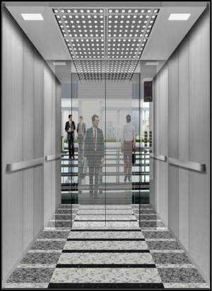 Manufacturers Exporters and Wholesale Suppliers of Passenger lift Raipur Chattisgarh