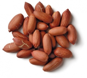 Manufacturers Exporters and Wholesale Suppliers of Peanuts Kernels Gandhinagar Gujarat