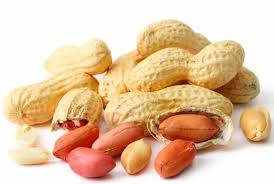 Peanuts Manufacturer Supplier Wholesale Exporter Importer Buyer Trader Retailer in Ahmedabad Gujarat India