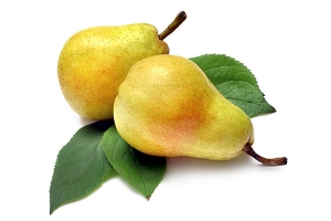 Manufacturers Exporters and Wholesale Suppliers of Pears New Delhi Delhi