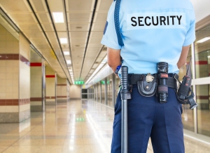 Service Provider of Permanent Security New Delhi Delhi