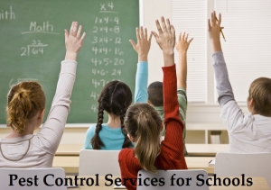 Service Provider of Pest Control Services for Schools Kota Rajasthan 