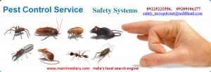 Manufacturers Exporters and Wholesale Suppliers of Pest Control Service NAGPUR Maharashtra