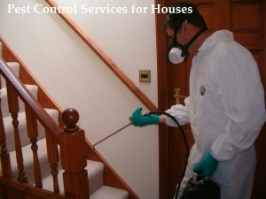 Service Provider of Pest Control Services for Houses Indore Madhya Pradesh