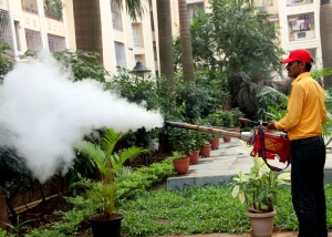 Pest Control Services For Mosquito Services in New delhi Delhi India