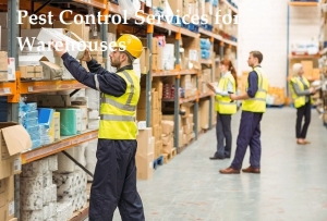Service Provider of Pest Control Services for Warehouses Kota Rajasthan 