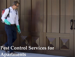 Service Provider of Pest Control Services for Apartments Indore Madhya Pradesh