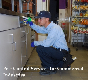 Service Provider of Pest Control Services for Commercial Industries Kota Rajasthan 