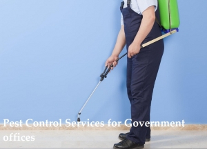 Pest Control Services for Government offices Services in Indore Madhya Pradesh India