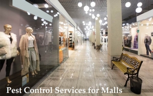 Service Provider of Pest Control Services for Malls Kota Rajasthan 