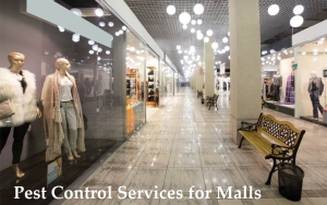 Service Provider of Pest Control Services for Malls Kota Rajasthan