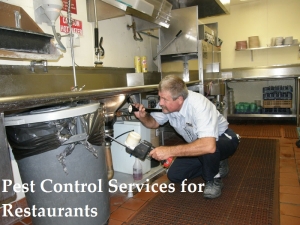 Service Provider of Pest Control Services for Restaurants Kota Rajasthan