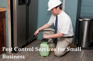 Pest Control Services For Small Business